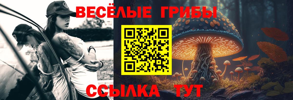 Галлюциногенные грибы мухоморы  Вход с VPN  Галлюциногенные грибы мухоморы  Россия 